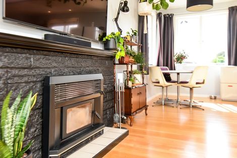 Photo of property in 12 Bruce Avenue, Glenview, Hamilton, 3206