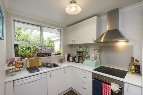 Photo of property in 12b Martin Street, Palmerston North, 4414