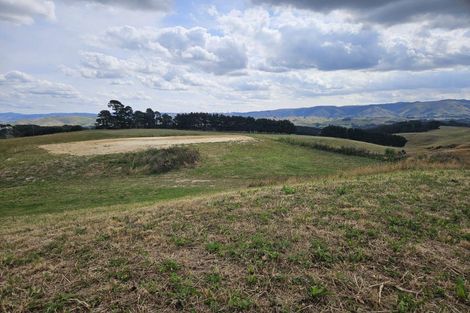 Photo of property in 591 Ridge Road, Mangamutu, Pahiatua, 4983