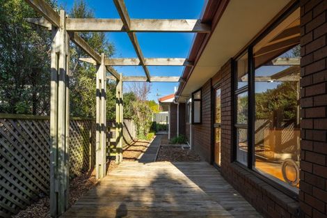 Photo of property in 197a Redwood Street, Witherlea, Blenheim, 7201