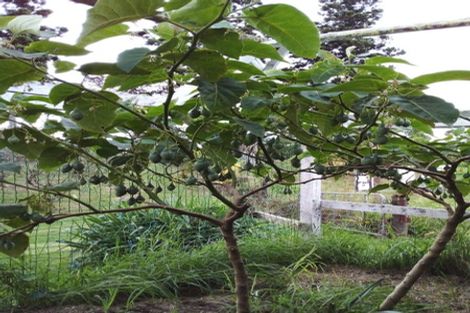 Photo of property in 70 Pukeko Lane, Kerikeri, 0294