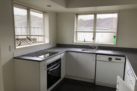 Photo of property in 13 Blowers Place, Flat Bush, Auckland, 2019