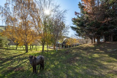 Photo of property in 441 Blind River Road, Blind River, Seddon, 7285