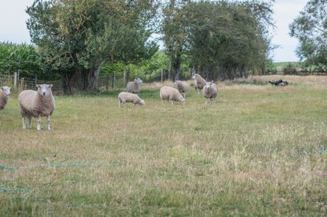 Photo of property in 30 Wheatstone Road, Ashton, Ashburton, 7774