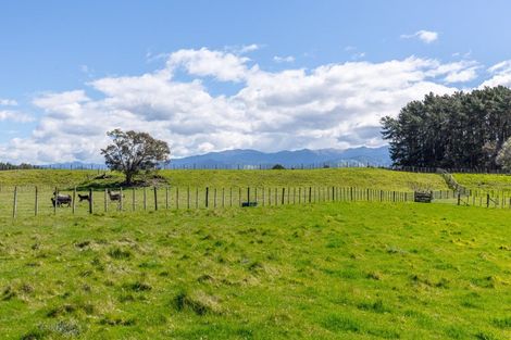 Photo of property in 769 State Highway 2, Opaki, Masterton, 5881