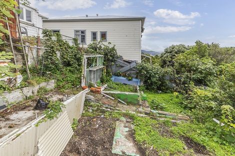 Photo of property in 65 Wright Street, Mount Cook, Wellington, 6021