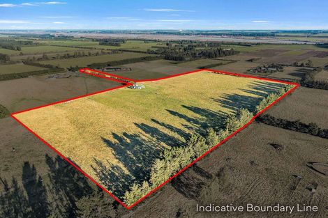 Photo of property in 31 Browns Rock Road, Burnt Hill, Oxford, 7495