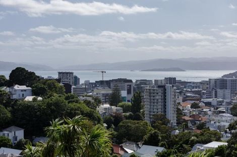 Photo of property in 9 Durham Crescent, Aro Valley, Wellington, 6021