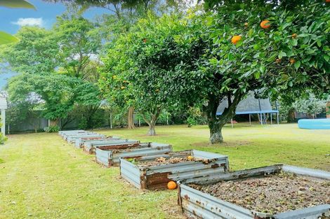 Photo of property in 3 Rutherford Street, Wairoa, 4108