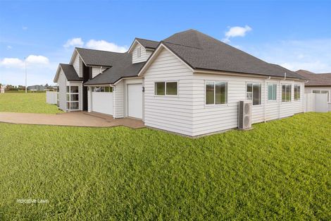 Photo of property in 53 Sunset Road, Totara Vale, Auckland, 0632