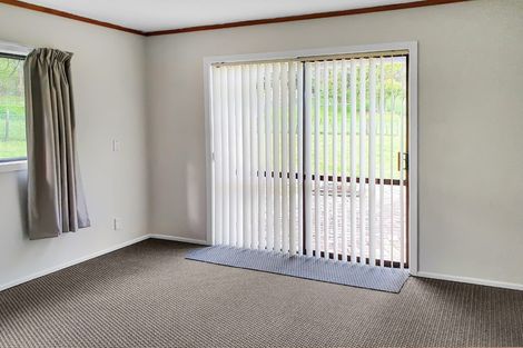 Photo of property in 161 Horsman Road, Waitakere, Henderson, 0782