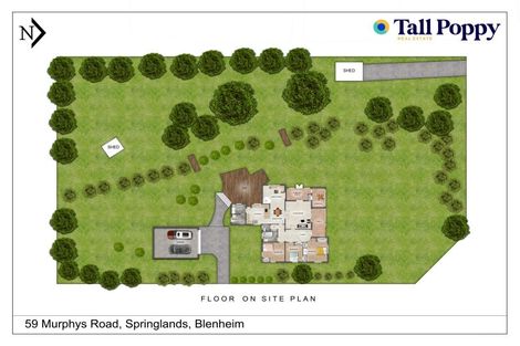 Photo of property in 59 Murphys Road, Springlands, Blenheim, 7201