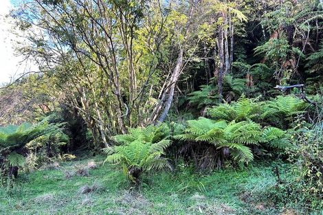 Photo of property in 754 Rutherglen Road, Marsden, Greymouth, 7872