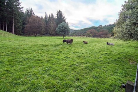 Photo of property in 686 Blairlogie-langdale Road, Blairlogie, Masterton, 5872