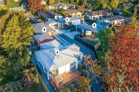 Photo of property in 12 Grange Street, Hillsborough, Christchurch, 8022