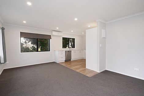 Photo of property in 46 Bruce Avenue, Glenview, Hamilton, 3206