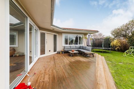 Photo of property in 38 Liverpool Street, Takaro, Palmerston North, 4412