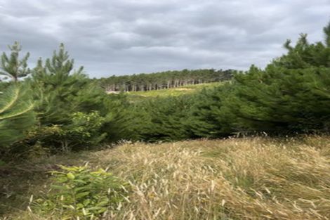 Photo of property in 323 Ngahere Park Road, Turitea, Palmerston North, 4472