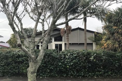Photo of property in 28 Lloyd Avenue, Mount Albert, Auckland, 1025