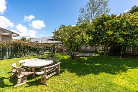 Photo of property in 15 Scott Avenue, Hamilton East, Hamilton, 3216