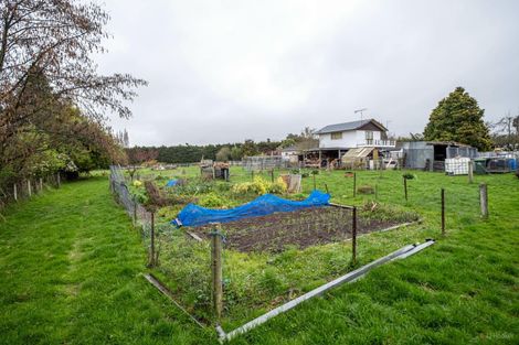 Photo of property in 7 Massey Street, Waimate, 7924