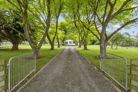 Photo of property in 1863 Rongotea Road, Kairanga, Palmerston North, 4475