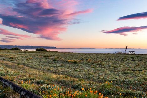 Photo of property in 21 Le Quesne Road, Bay View, Napier, 4104