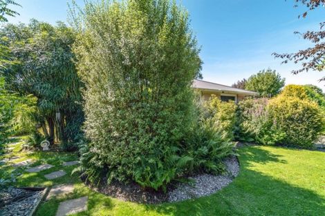 Photo of property in 5 Rolleston Street, Rakaia, 7710