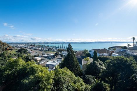 Photo of property in 11 Kowhai Road, Bluff Hill, Napier, 4110