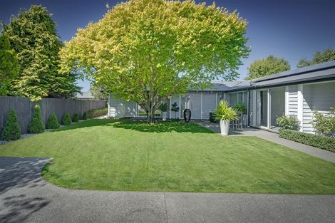 Photo of property in 55a Moore Street, Rolleston, 7614