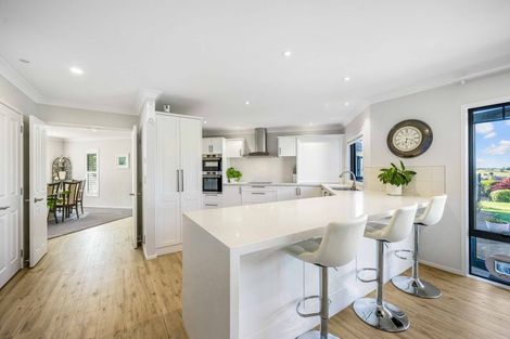 Photo of property in 22 Grace James Road, Pukekohe, 2120