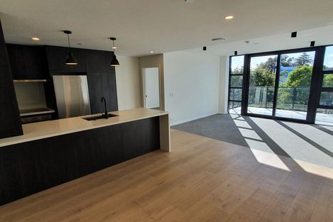 Photo of property in 609/8 Kingsland Terrace, Kingsland, Auckland, 1021