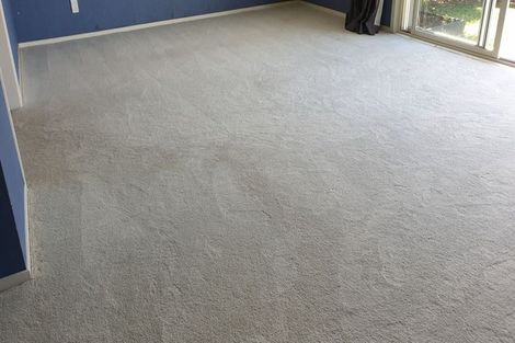 Photo of property in 129a Nile Road, Milford, Auckland, 0620