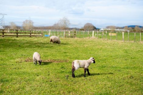 Photo of property in 186b Holland Road, Puketaha, Hamilton, 3286