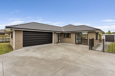 Photo of property in 13 Barry Curtis Place, Levin, 5510
