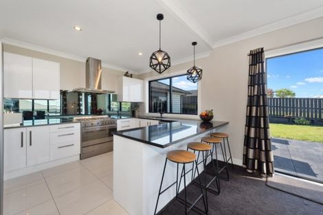 Photo of property in 16 Rigg Place, Flagstaff, Hamilton, 3210