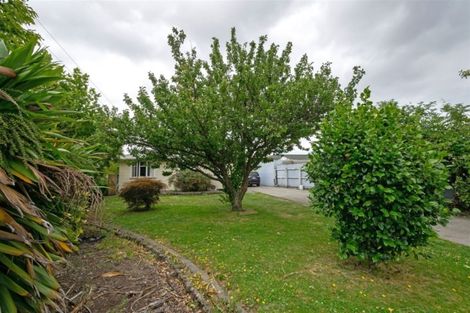 Photo of property in 20 Parker Street, Mayfield, Blenheim, 7201