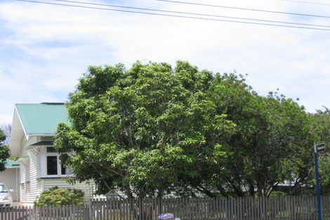Photo of property in 20 Harlston Road, Mount Albert, Auckland, 1025