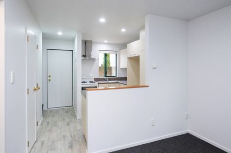 Photo of property in 68 Thackeray Place, Waltham, Christchurch, 8023