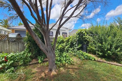 Photo of property in 6 Ash Grove, Maungaturoto, 0520