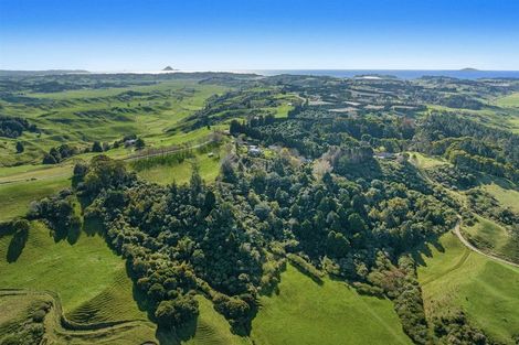 Photo of property in 681 Paerata Ridge Road, Waiotahe, Opotiki, 3198