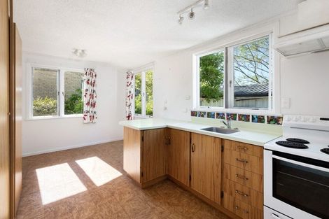 Photo of property in 55 Station Road, Paeroa, 3600