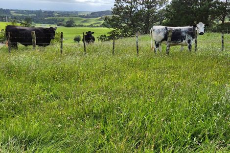 Photo of property in 783 Mangorei Road, Mangorei, New Plymouth, 4371