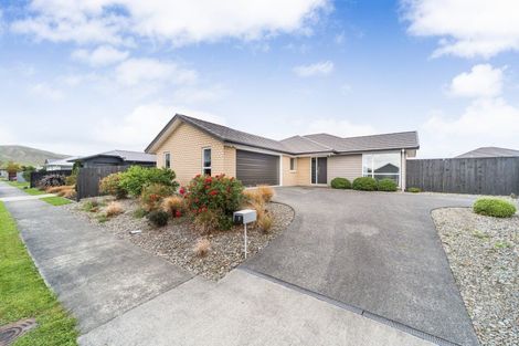 Photo of property in 9 Mediterranean Grove, Fitzherbert, Palmerston North, 4410