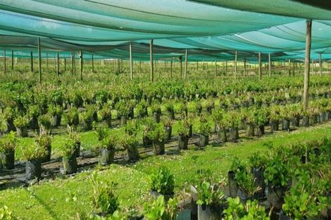 Photo of property in 261 Pahoia Road, Whakamarama, Tauranga, 3172