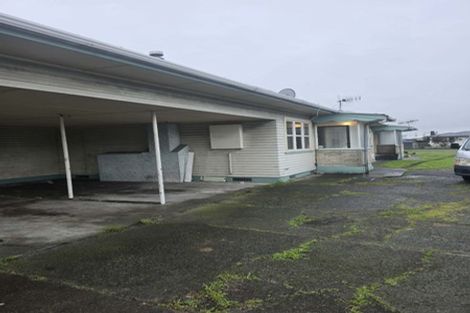 Photo of property in 195 Nikau Street, Saint Leonards, Hastings, 4120