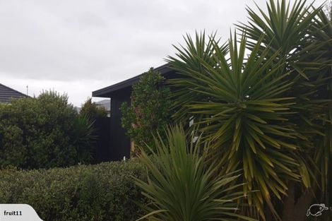 Photo of property in 8 Muriwai Boulevard, Waiotahe, Opotiki, 3198
