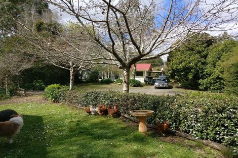 Photo of property in 55a Golding Road, Pukekohe, 2677