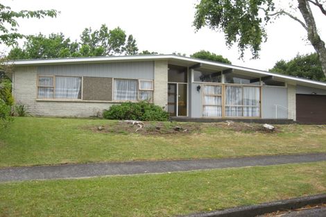 Photo of property in 14 Bledisloe Court, Pukekohe, 2120