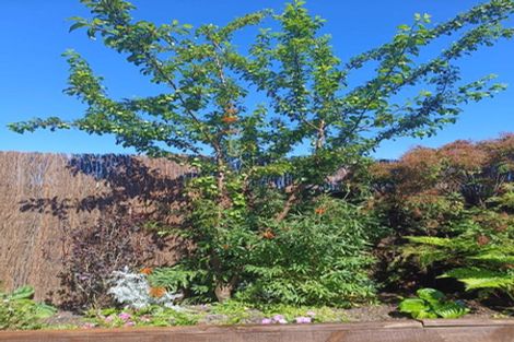 Photo of property in 40c Doncaster Drive, Papamoa Beach, Papamoa, 3118